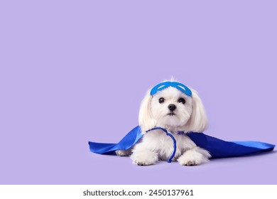 Perrito lindo en traje