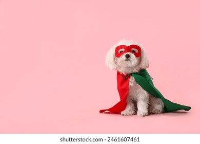 Perrito lindo en traje