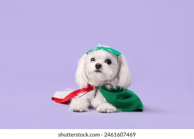 Perrito lindo en traje