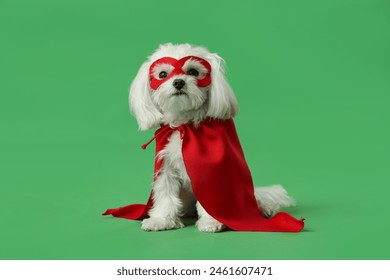 Perrito lindo en traje