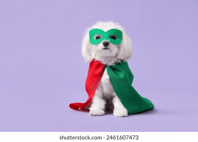 Perrito lindo en traje