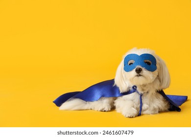 Perrito lindo en traje