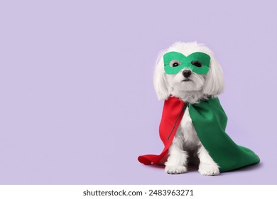 Perrito lindo en traje