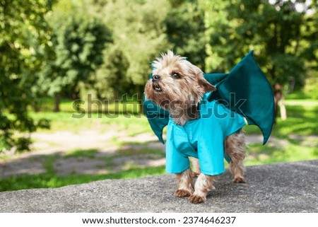 Cute little dog, Yorkshire terrier dressed in a dragon costume with horns and wings, in an open space, against a blurry background of natural greenery. Dragon is the symbol of 2024. Clothes for dogs.