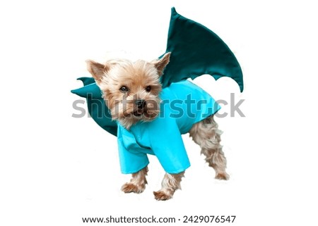 Cute little dog, Yorkshire terrier dressed in a dragon costume with horns and wings, in an open space, Isolate on white. Dragon is the symbol of 2024. Dog fashion, clothes for dogs.