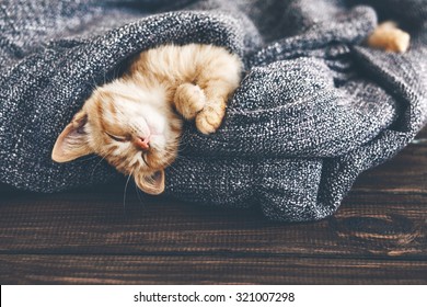 Cute little ginger kitten is sleeping in soft blanket on wooden floor - Shutterstock ID 321007298