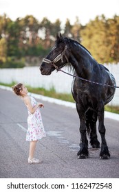 Cute Little Girl Big Black Horse Stock Photo 1162472548 | Shutterstock