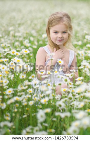 Similar – flower girl Gänseblümchen