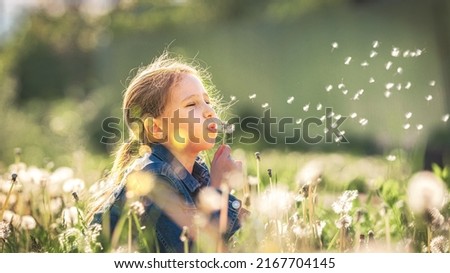 cute little girl blowing dandelions in a sunny flower meadow . Summer seasonal outdoor activities for children. The child smiles and enjoys summer fun