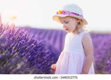 Cute Little Girl Colorful Lavanda Stock Photo 1440312776 | Shutterstock