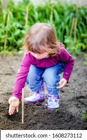 Cute Little Girl Gardening In The Vegetable Patch