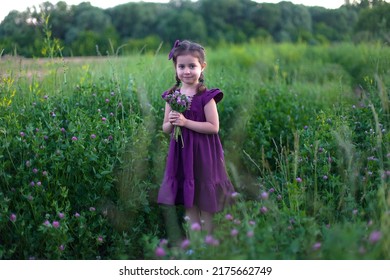 a cute little girl holding a bouquet of purple clover flowers in her hands, a street portrait in the park. summer walks.