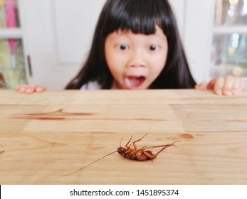 The cute little girl looking and afraid of cockroaches, Because the cockroaches are dirty and disgusting, focus on cockroaches, blur background, filter