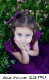 A cute little girl in a meadow on a summer day collects a bouquet of purple clover. Walking with children