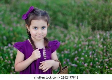 A cute little girl in a meadow on a summer day collects a bouquet of purple clover. Walking with children