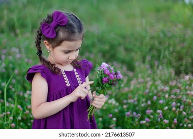 A cute little girl in a meadow on a summer day collects a bouquet of purple clover. Walking with children.