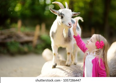 Cute Little Girl Petting And Feeding A Goat At Petting Zoo. Child Playing With A Farm Animal On Sunny Summer Day. Kids Interacting With Animals.