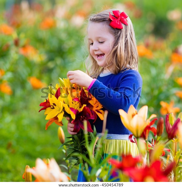 Cute Little Girl Picking Lily Flowers Stock Photo (Edit Now) 450454789