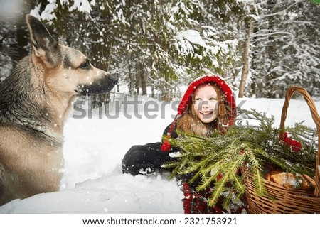 Cute little girl in red cap or hat and black coat with basket of green fir branches in snow forest and big dog shepherd as wolf on cold winter day. Fun and fairytale on photo shoot