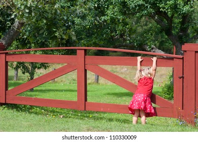 Cute Little Girl In A Red Summer Frock Playing On A Gate Stretching Up To Reach The Top Bar As She Explores A Rural Property