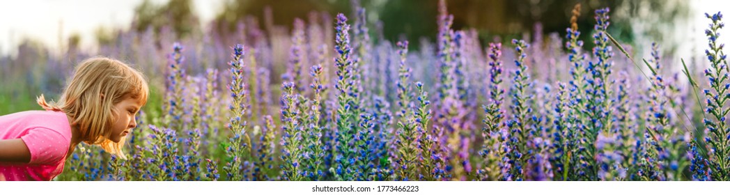 cute little girl smelling purple flowers on field