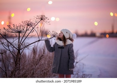 A cute little girl sniffs a snow-covered hogweed flower against the background of a winter sunset. She's wearing warm clothes. Bokeh from lanterns