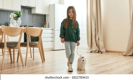 A Cute Little Girl Standing In A Middle Of A Room Holding A Leash Of Her White Toy Dog Being Alone At Home