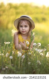 Cute Little Girl In A Straw Hat Has Sits On A Summer Field With Dandelions. Child Having Activity Fun Outside. Concept Of A Healthy Child Without Allergies. High Quality Photo. High Quality Photo