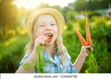 Cute Little Girl Wearing Straw Hat Holding A Bunch Of Fresh Organic Carrots. Fresh Healthy Organic Food For Small Kids. Family Nutrition In Summer.