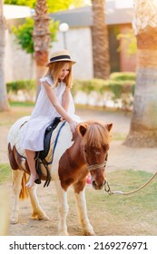 a cute little girl in a white dress and straw hat sits on top of a pony. equestrian sport for children.
