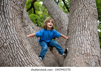 Cute Little Kid Boy Enjoying Climbing On Tree On Summer Day. Cute Child Learning To Climb, Having Fun In Forest Or Park On Warm Sunny Day. Happy Time In Nature