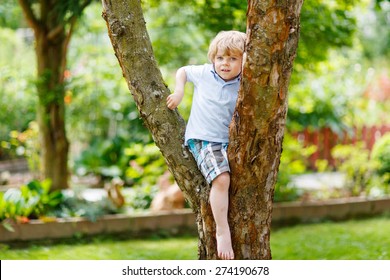 Cute Little Kid Boy Enjoying Climbing On Tree. Toddler Child Learning To Climb, Having Fun In Domestic Garden On Warm Sunny Day.