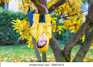 Cute Little Kid Boy Enjoying Climbing On Tree On Autumn Day. Preschool Child In Yellow Rain Coat And Red Rubber Boots Learning To Climb, Having Fun In Garden Or Park On Warm Sunny Day.