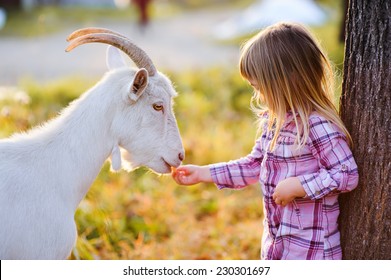 cute little kid feeding a goat at farm