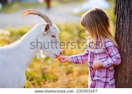 cute little kid feeding a goat at farm