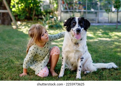 Cute little preschool girl playing with family dog in garden. Happy smiling child having fun with dog, hugging and playing. Friendship and love between animal and kids - Shutterstock ID 2255973625