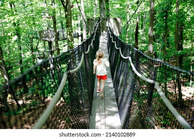 Cute little preschool girl walking on high tree-canopy trail with wooden walkway and ropeways Hoherodskopf in Germany. Happy active child exploring treetop path. Funny activity for families outdoors