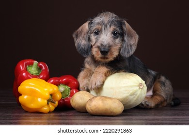 Cute Little Puppy Dog With Vegetables