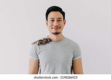 Cute Little Sugar Glider Pet Hold On The Asian Man Owner Isolated On White.