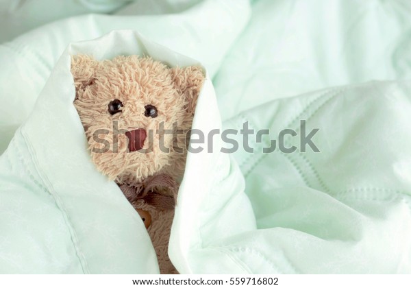 teddy bear sleeping bed