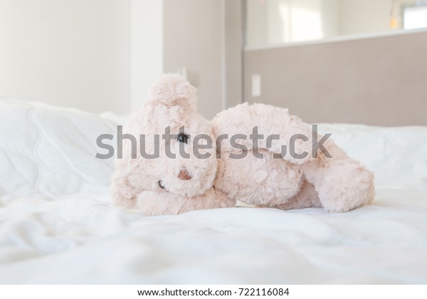 teddy bear sleeping bed