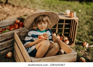 Cute little toddler boy eating ripe red apple in wooden box in orchard. Son in home garden explores plants, nature in autumn countryside. Amazing scene. Family, love, harvest, childhood concept - Powered by Shutterstock