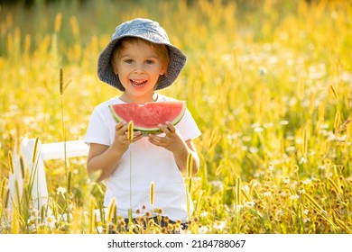 Cute little toddler child, blond boy, eating watermelon in beautiful daisy field on sunset