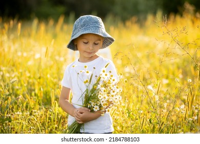 Cute little toddler child, blond boy, eating watermelon in beautiful daisy field on sunset