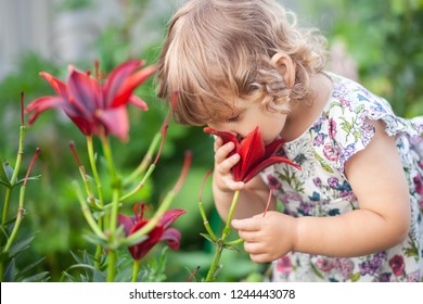 Cute Little Toddler Girl Smelling Flowers In The Garden, Exploring Nature. Allergy Concept. Healthy Kid Consept.