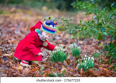 Cute Little Toddler Girl Smelling Beautiful Snowdrop Flowers In A Spring Park