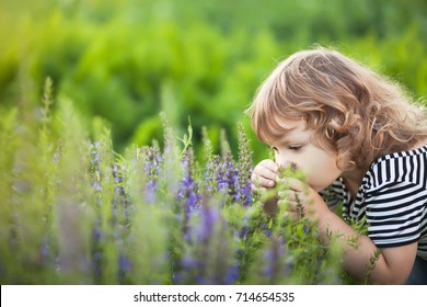Cute Little Toddler Girl Smelling Purple Flowers. Provence Concept. Allergy Concept. Healthy Kid Concept. Copyspace, Empty Space For Text.