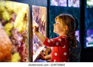 cute little toddler girl visiting zoo aquarium. Happy baby child watching fishes and jellyfishes, corals. Fascinated child with deep sea wildlife - Shutterstock ID 2149730843