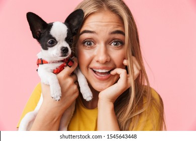 Cute Lovely Cheerful Girl Playing With Her Pet Chihuahua Isolated Over Pink Background