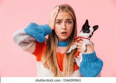 Cute lovely confused girl playing with her pet chihuahua isolated over pink background